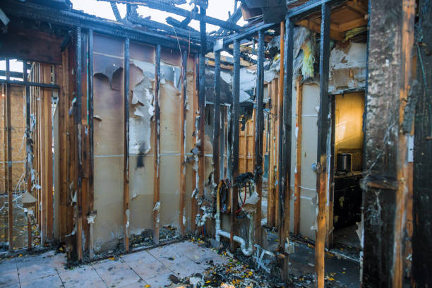 Professional Soot Cleanup technician working in Pinellas Park, FL