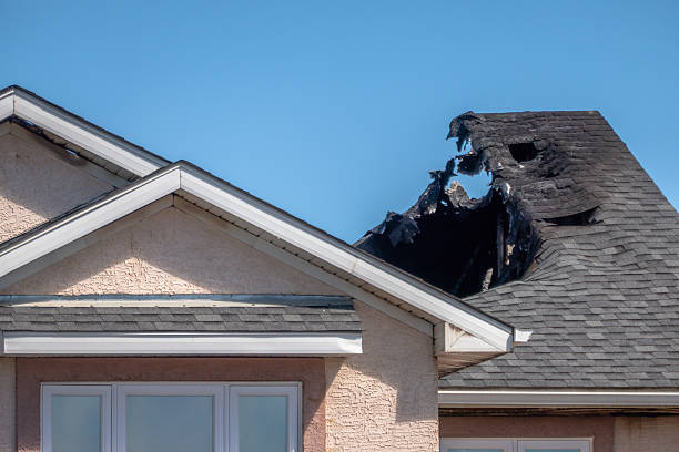 Top rated local Soot Cleanup specialists in Pinellas Park, FL